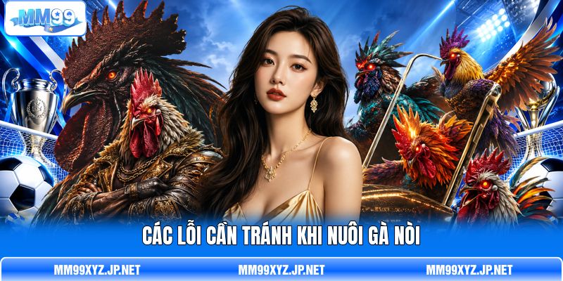 Các lỗi cần tránh khi nuôi gà nòi