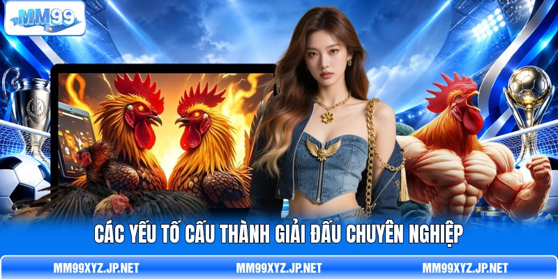 Các yếu tố cấu thành giải đấu chuyên nghiệp