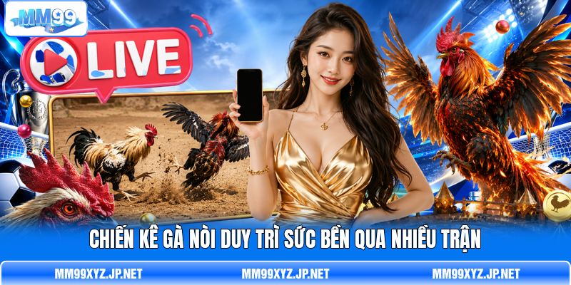 Chiến kê gà nòi duy trì sức bền qua nhiều trận