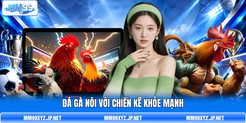 Đá gà nòi với chiến kê khỏe mạnh