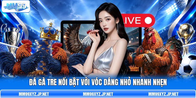 Đá gà tre nổi bật với vóc dáng nhỏ nhanh nhẹn