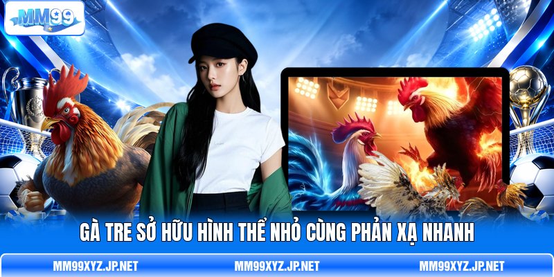Gà tre sở hữu hình thể nhỏ cùng phản xạ nhanh