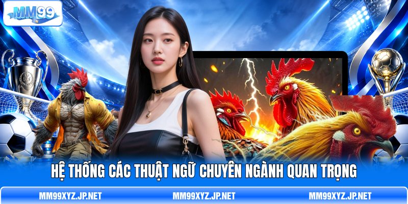 Hệ thống các thuật ngữ chuyên ngành quan trọng