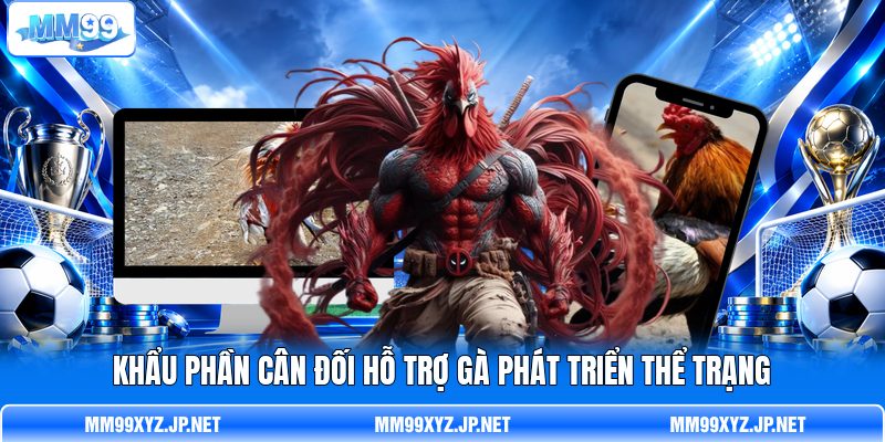 Khẩu phần cân đối hỗ trợ gà phát triển thể trạng
