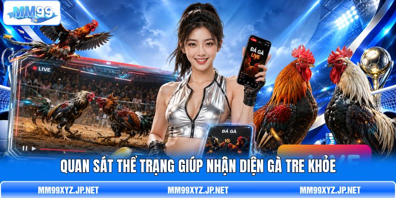 Quan sát thể trạng giúp nhận diện gà tre khỏe