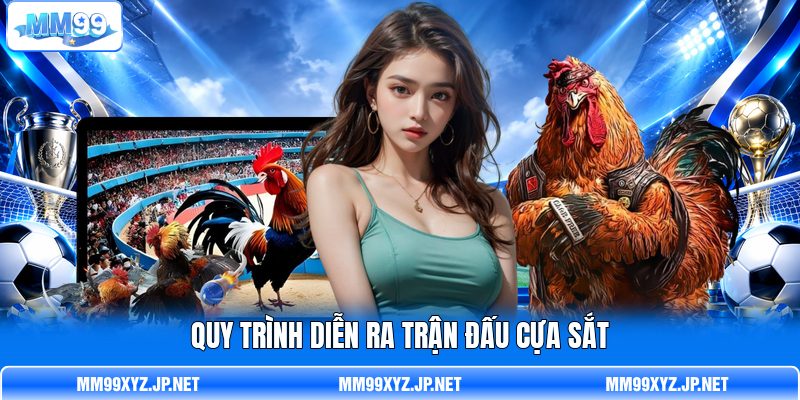Quy trình diễn ra trận đấu cựa sắt Quy trình diễn ra trận đấu cựa sắt